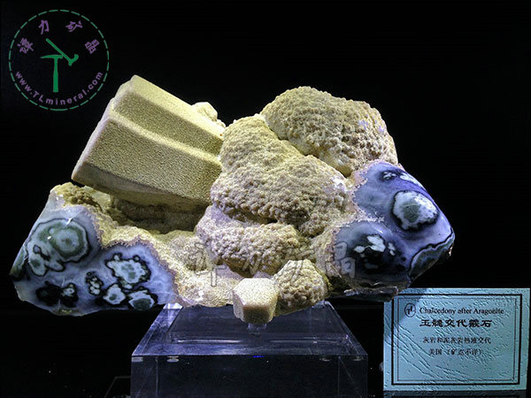 玉髓交代霰石，美國