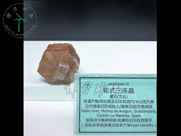 輪式三連晶霰石，西班牙