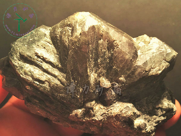 亞歷山大石（變石）輪式雙晶+津巴布韋，12x10x5.0(鎢絲白熾燈下拍攝)