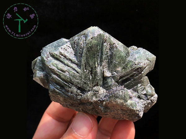 亞歷山大石（變石）輪式雙晶+津巴布韋，12x10x5.0(陽光下拍攝)